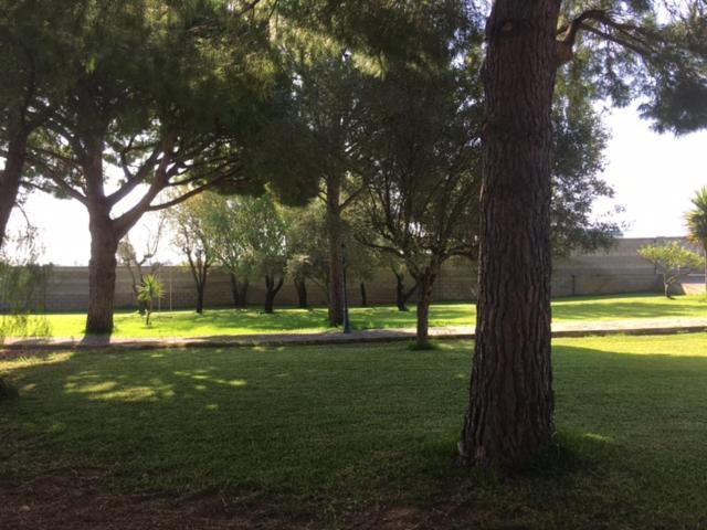 Villa Torrealta, 4000 M2 كاديز المظهر الخارجي الصورة