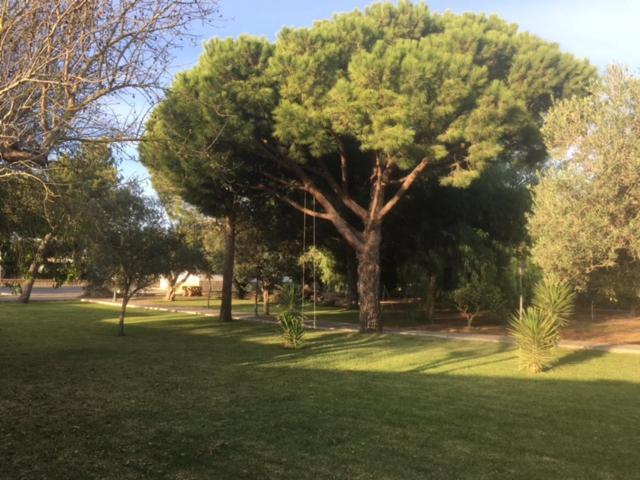 Villa Torrealta, 4000 M2 كاديز المظهر الخارجي الصورة