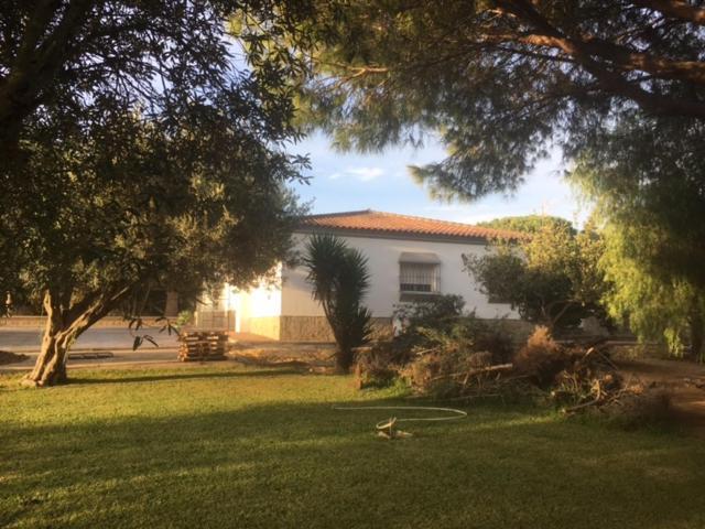 Villa Torrealta, 4000 M2 كاديز المظهر الخارجي الصورة
