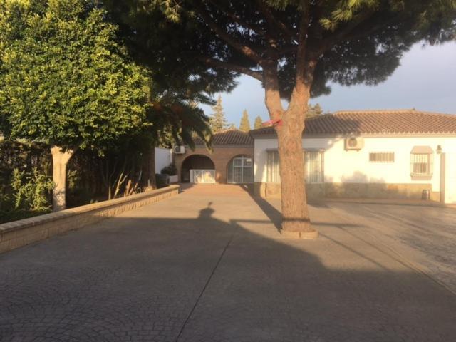 Villa Torrealta, 4000 M2 كاديز المظهر الخارجي الصورة